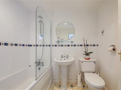 Picture 17